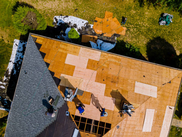Best Commercial Roofing Services  in Ash Grove, MO